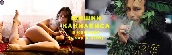 ешки Алексин