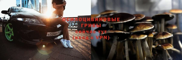 ешки Алексин