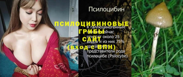ешки Алексин