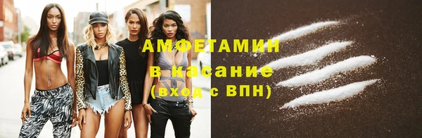 шишки Алзамай