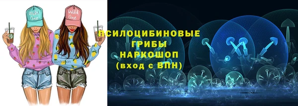 шишки Алзамай