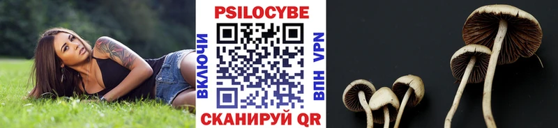 Галлюциногенные грибы ЛСД  продажа наркотиков  Кимры 